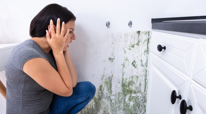 Protecting Your Home or Apartment From Mould